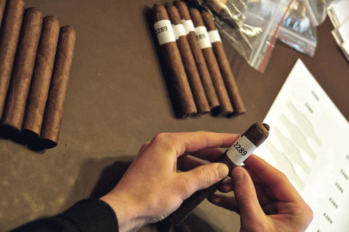 Backstage: Behind the scenes of the Cigar Journal Blind Tasting