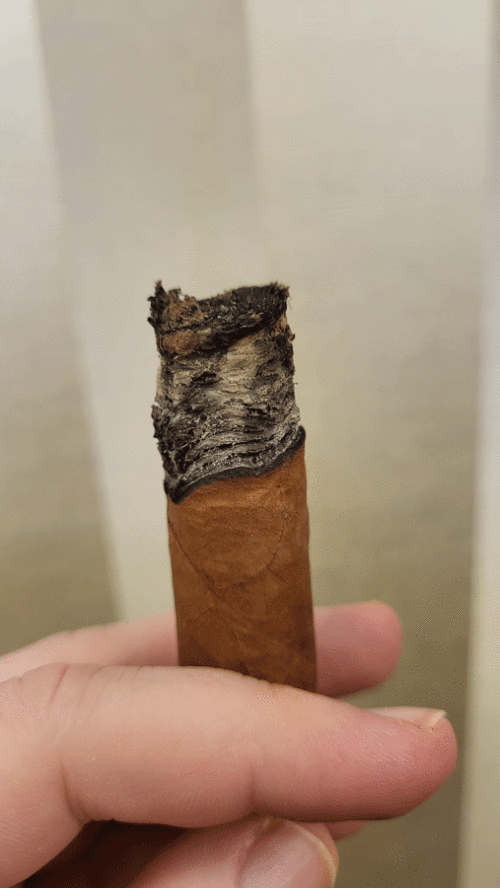 TASTING A CIGAR TOGETHER – Cohiba Robusto
