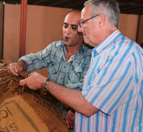 ROBERT G. LEVIN, ASHTON CIGARS: CIGARS ARE MEANT FOR FAMILY BUSINESSES