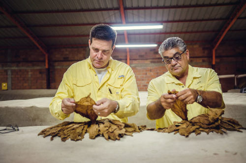 The Favorite Wrapper