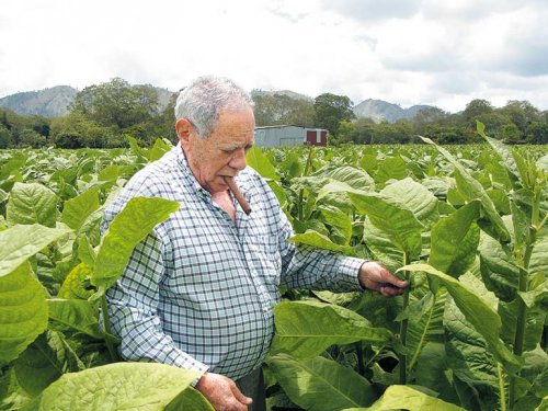 Photo: Jorge Padrón