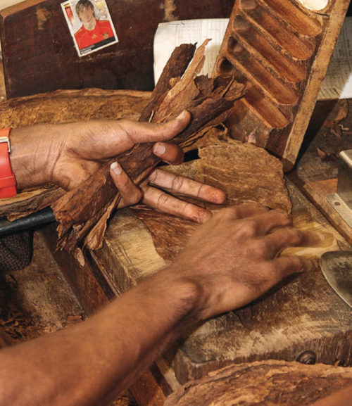 Maintaining the aromas of cigars