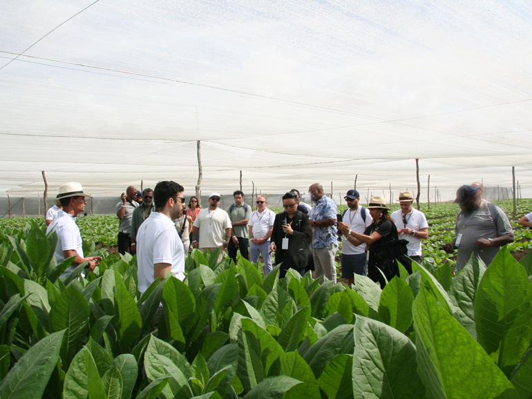 Procigar – Day 5 – A New Beginning