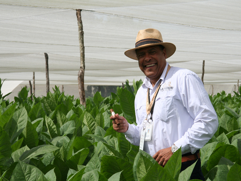 Procigar – Day 5 – A New Beginning