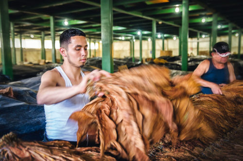 The wrapper specialists from Ecuador