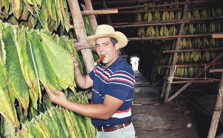 A Travel Guide to Cuba’s Tobacco Region Pinar del Rio
