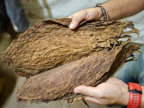 Reserva Orgánica – The World’s first Organic Cigar