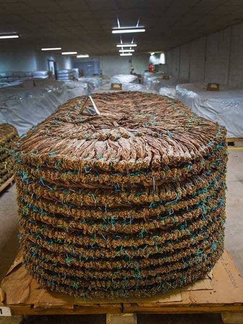Storage Tabak