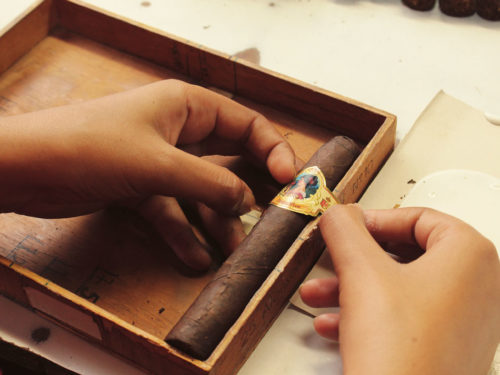 The rebirth of the Brazilian cigar industry