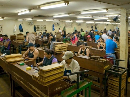 aj fernandez factory cigar roller at work