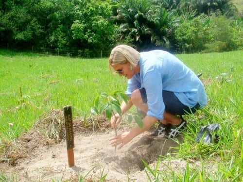 brazil reconcavo salvador bahia katja rauch planting tree