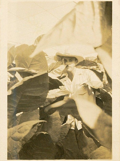 don sixto plasencia at his farm san benito pinar del rio