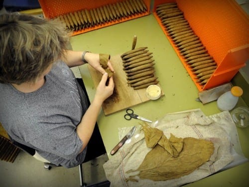 don stefano lydia schneider rolling perfeccion cigars