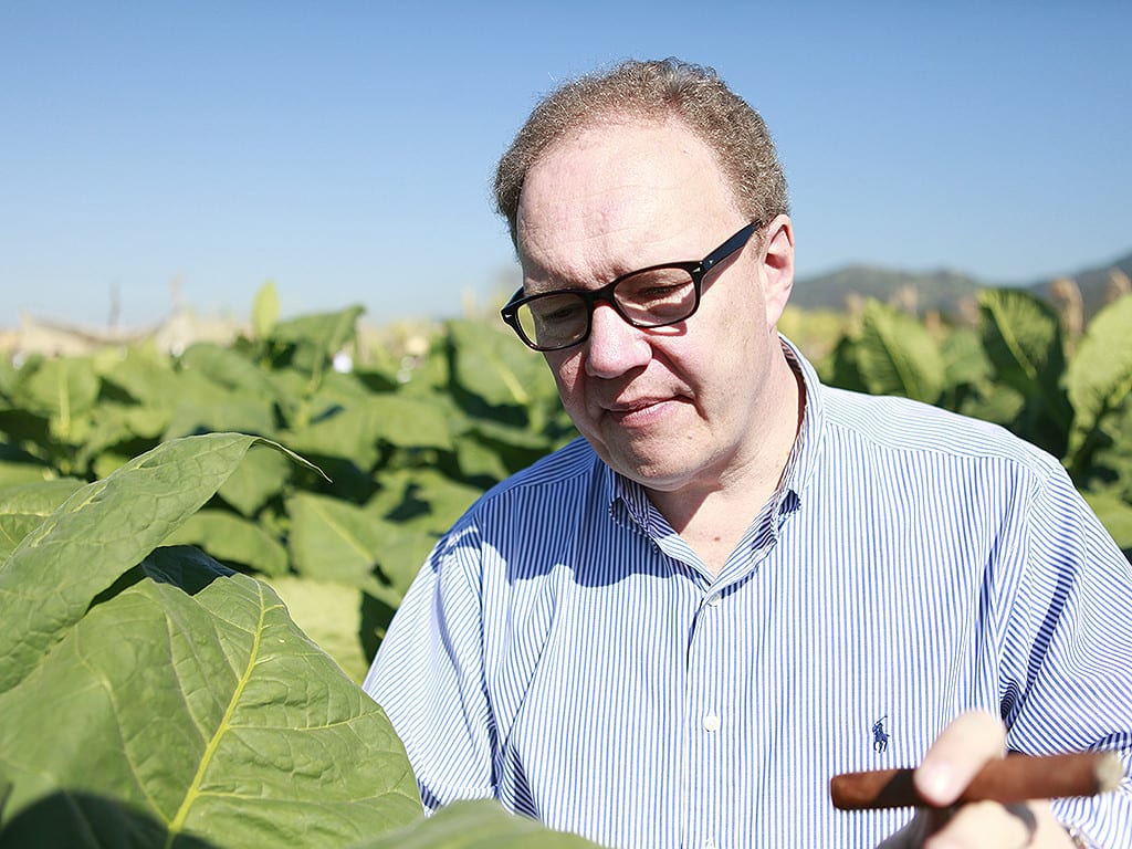h-k hoejsgaard davidoff tobacco plantation leaves