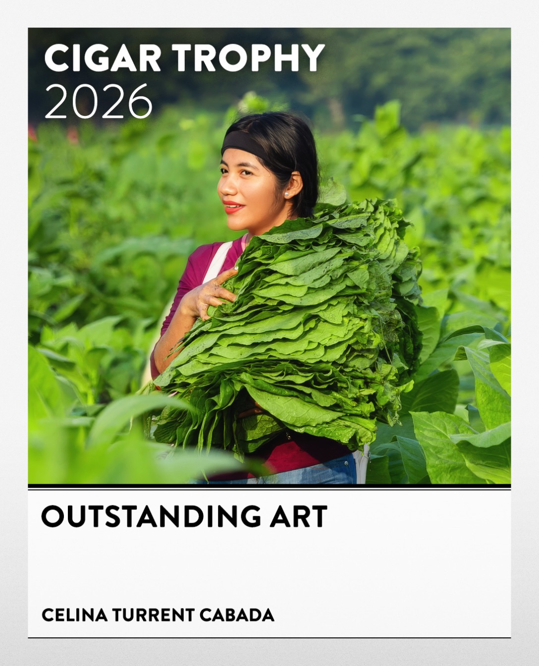 Cigar Journal on Instagram: OUTSTANDING ART – Celina Turrent Cabada 🏆 CIGAR TROPHY 2026 – OUTSTANDING ART Congratulations to Celina Turrent Cabada.