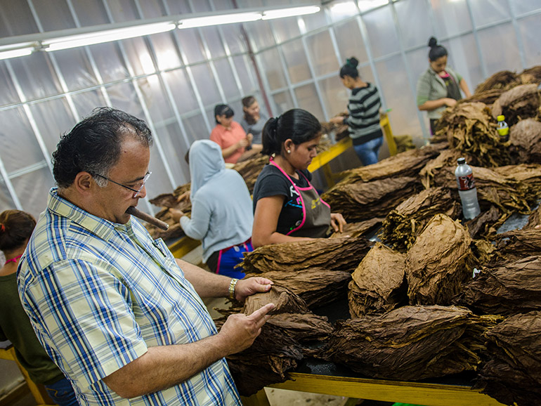 OIliva Cigar Factory Estelí Nicaragua Gilberto