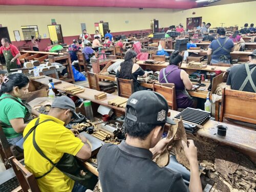 Puro Sabor 2026 Day 6: A Unifying Force