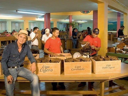 litto gomez la flor dominicana boxes tobacco leaves factory