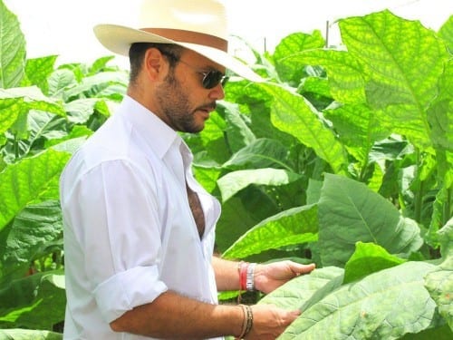 nestor plasencia jr at jalapa tobacco leaf