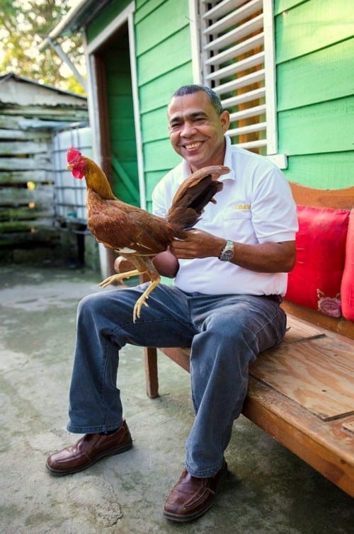 ramon emilio cruz inspector davidoff villa gonzalez with rooster champion cock fighting