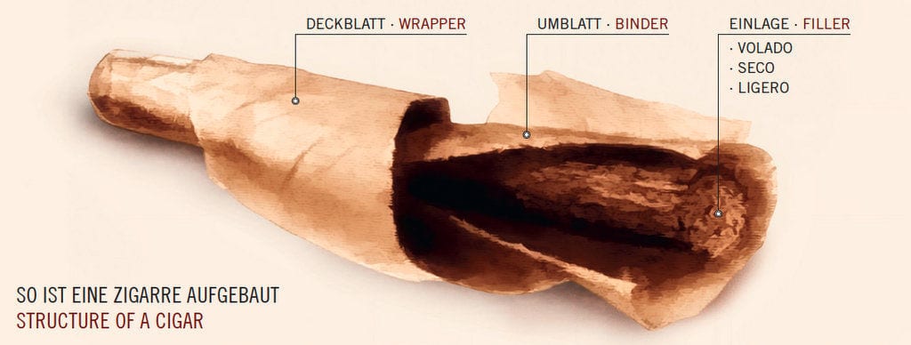 structure of a cigar wrapper binder filler schematic drawing